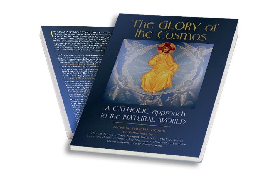 The Glory of the Cosmos (Edited by Thomas Storck)