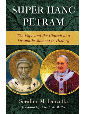 Super Hanc Petram: The Pope and the Church at a Dramatic Moment in History