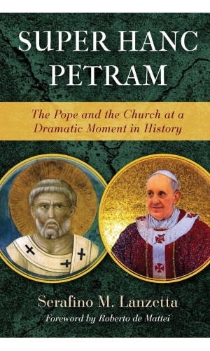 Super Hanc Petram: The Pope and the Church at a Dramatic Moment in History